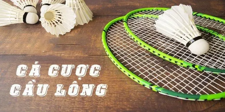 Bứt Phá Cùng Cá Cược Cầu Lông AV88 Uy Tín Thắng Lớn Mỗi Ngày