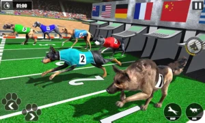 Kinh Nghiệm Chơi Game Nhanh Đua Chó AV88 Thắng Lớn Mỗi Ngày Cực Dễ