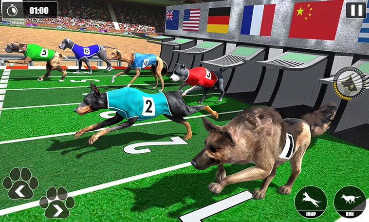 Kinh Nghiệm Chơi Game Nhanh Đua Chó AV88 Thắng Lớn Mỗi Ngày Cực Dễ